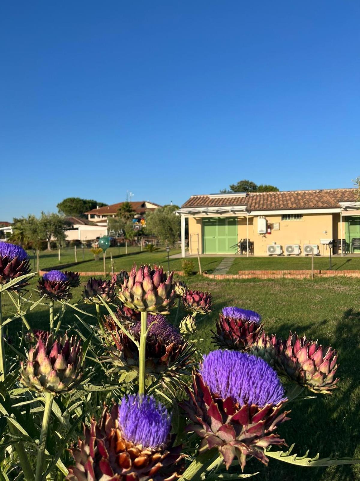 Il Giardino Di Nunzia Villa Principina Terra Exteriör bild